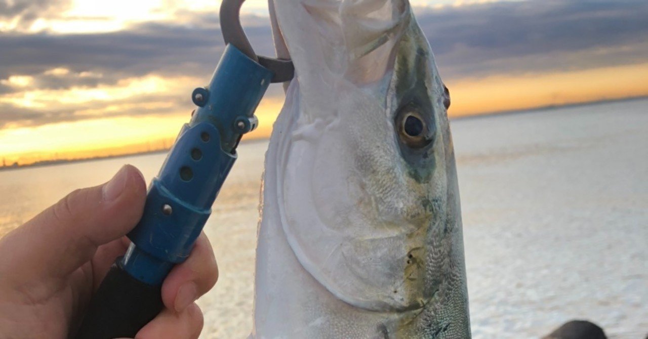 千葉県 釣り 堤防から気軽に Tongari Note