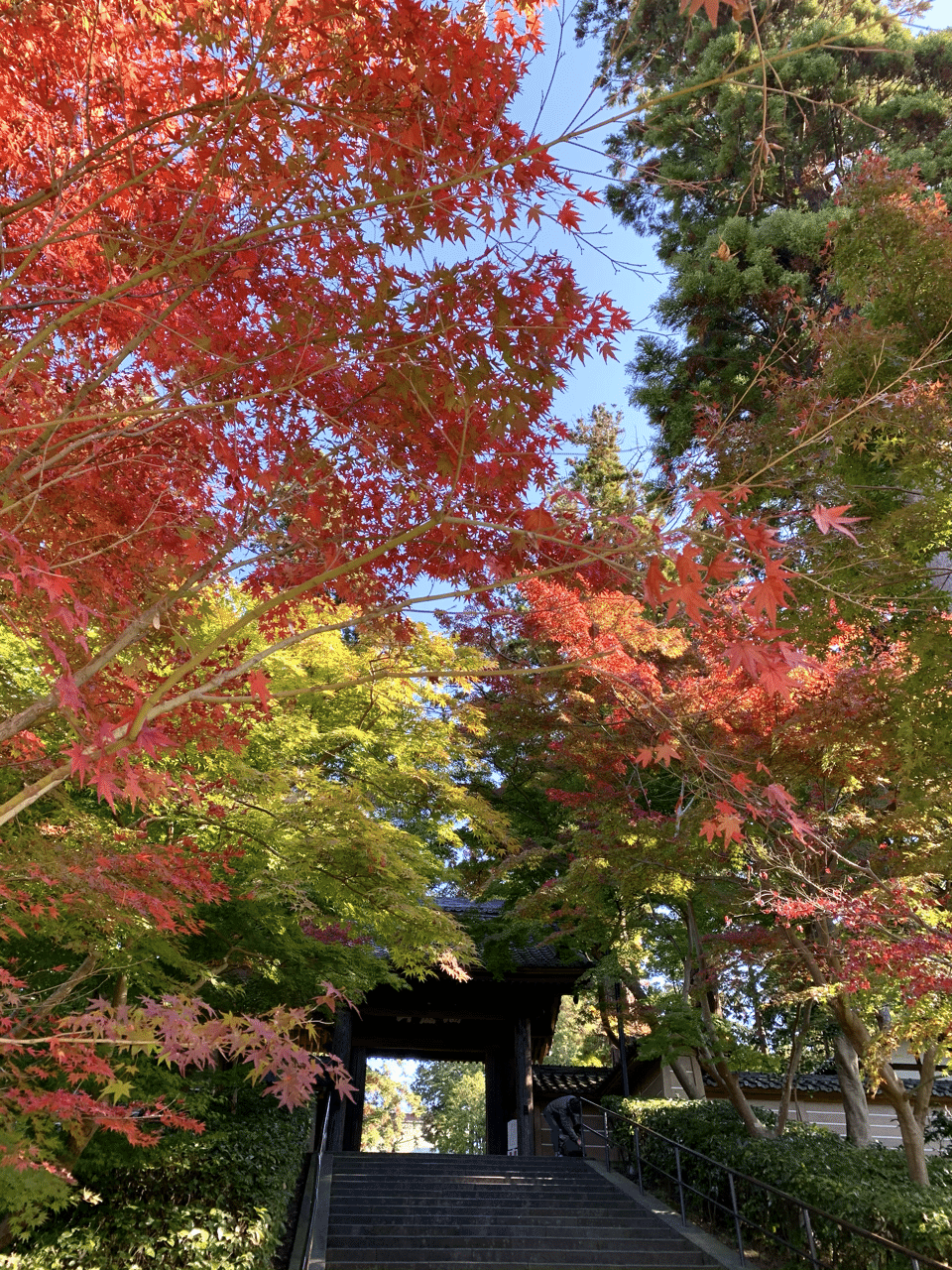 北鎌倉ぶらり散歩 ミクジ Note