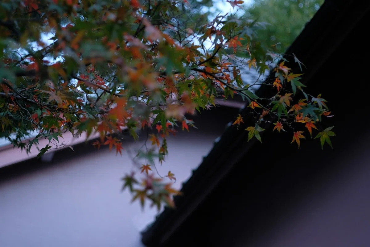 画像109