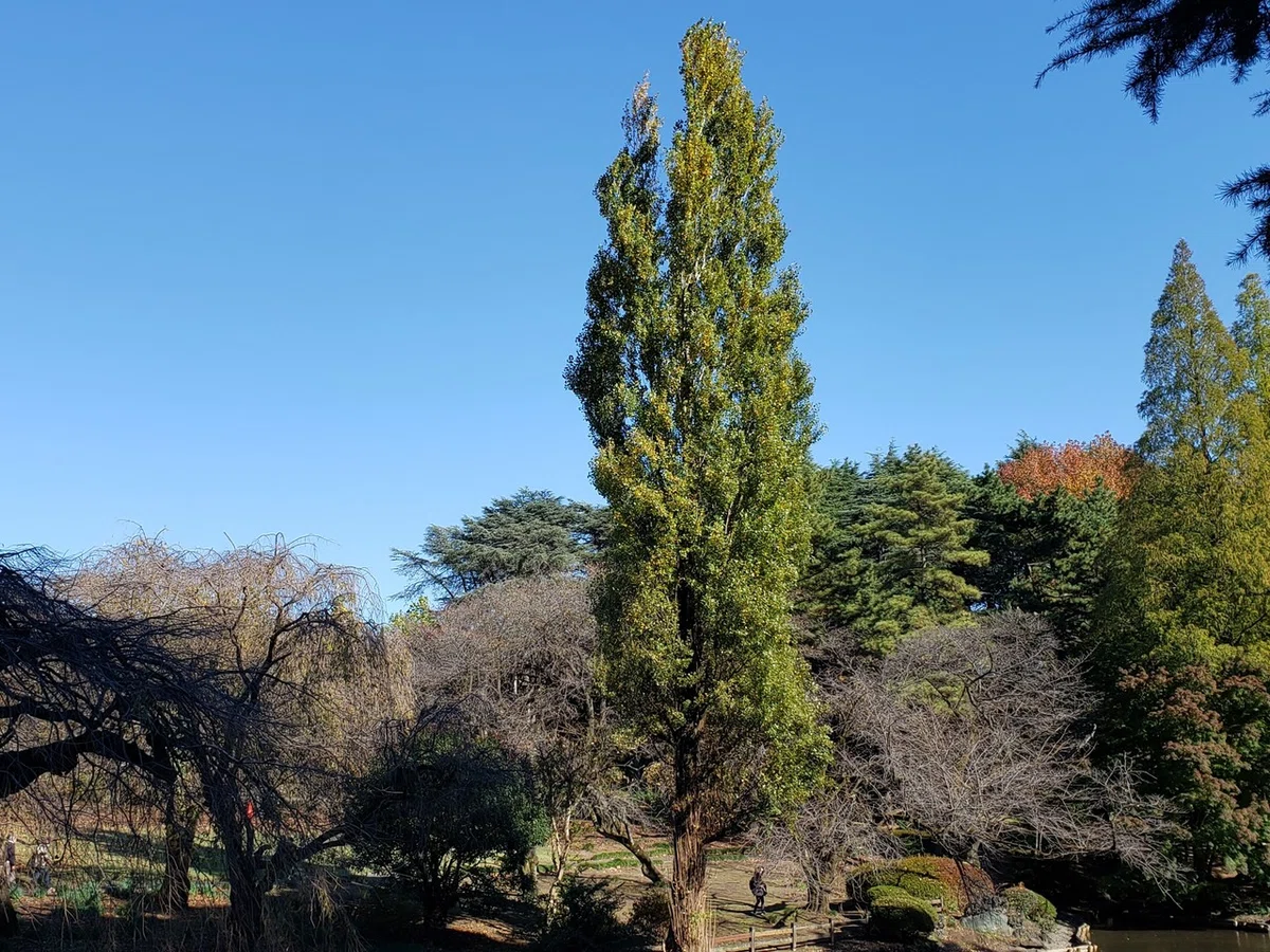 画像6