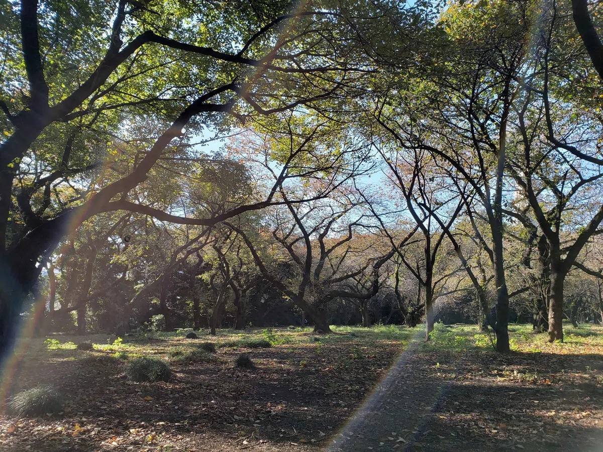 画像7