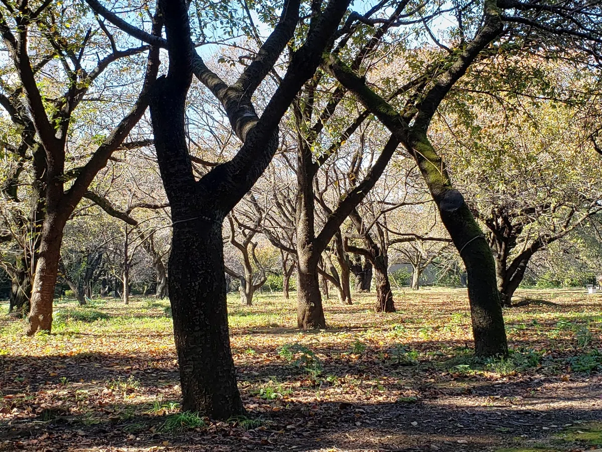 画像9