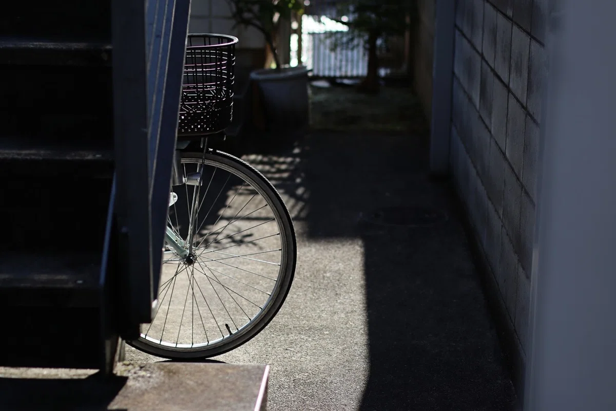 画像14