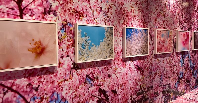 蜷川実花さんの写真展を見に行ってきました セトちゃん Note 蜷川実花さんの写真展を見に行ってきました セトちゃん Note