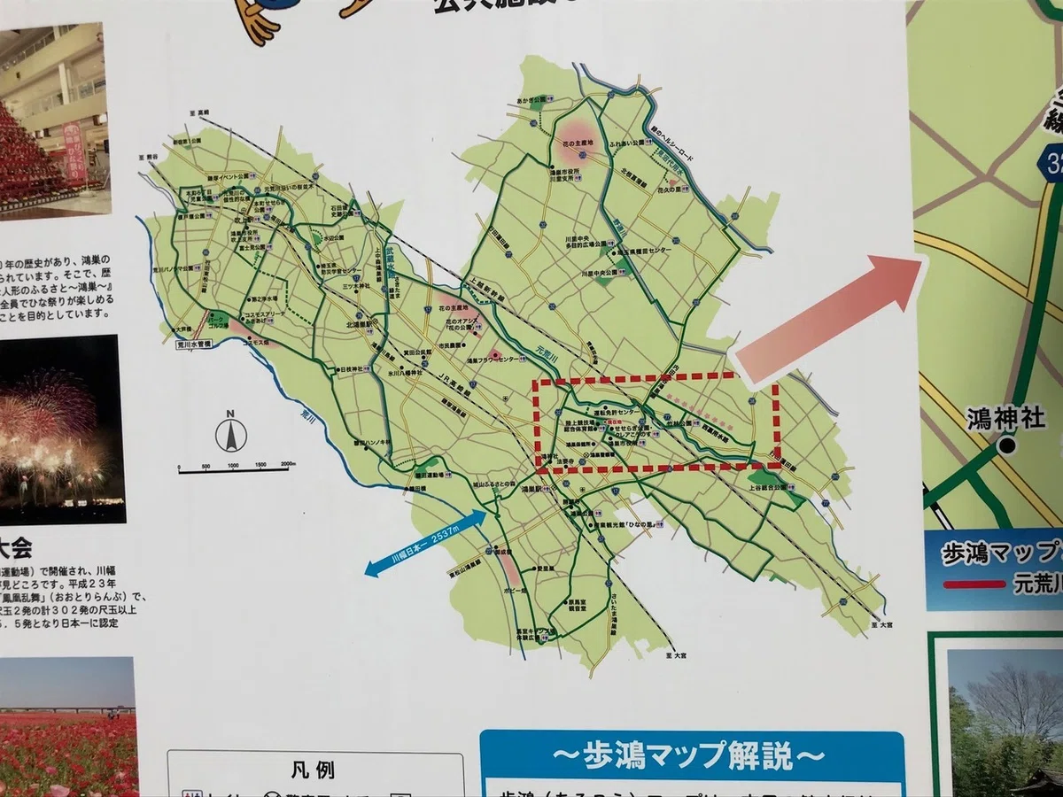 画像13