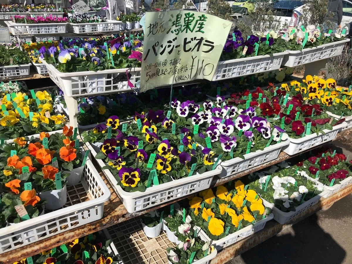画像16