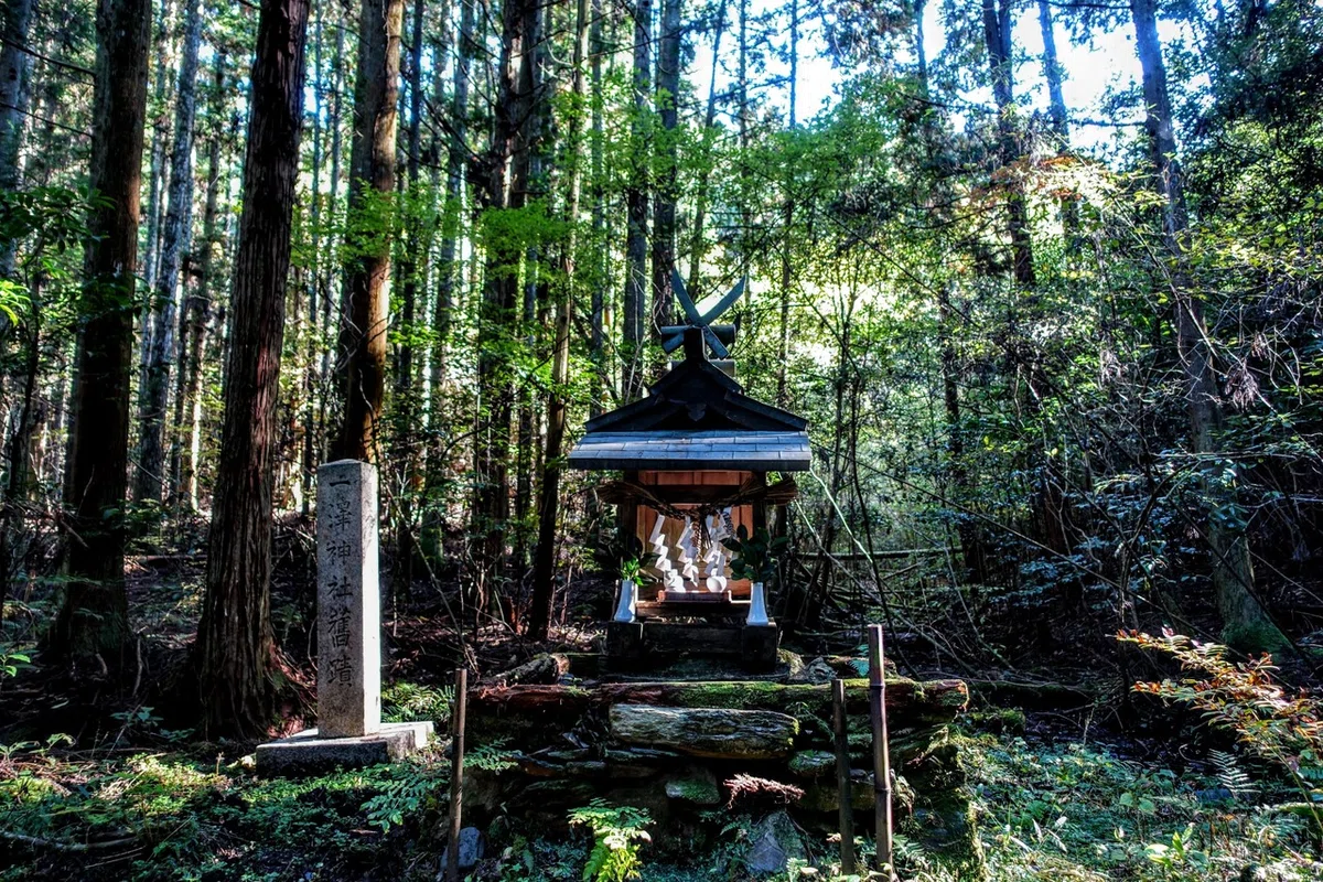画像5