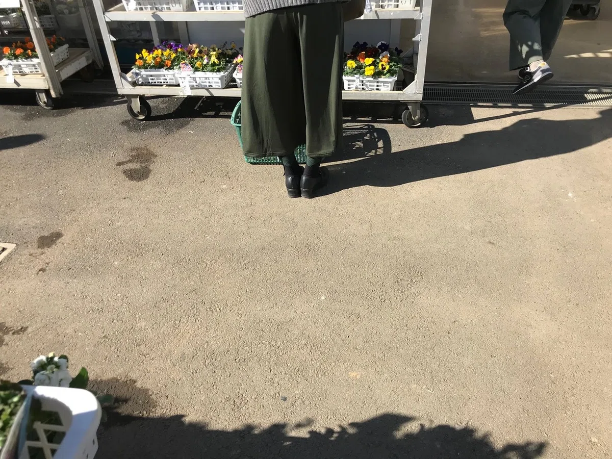 画像17