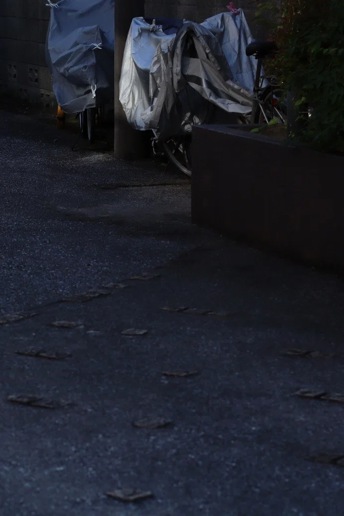 画像38