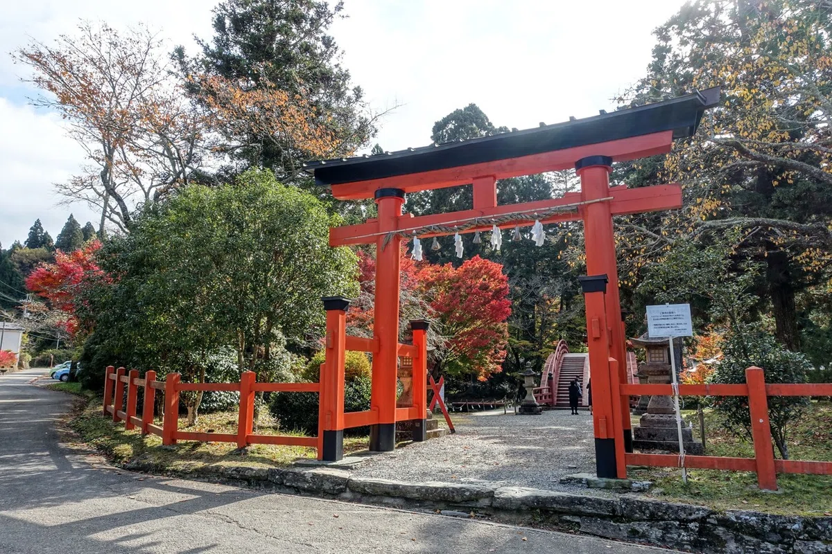 画像7