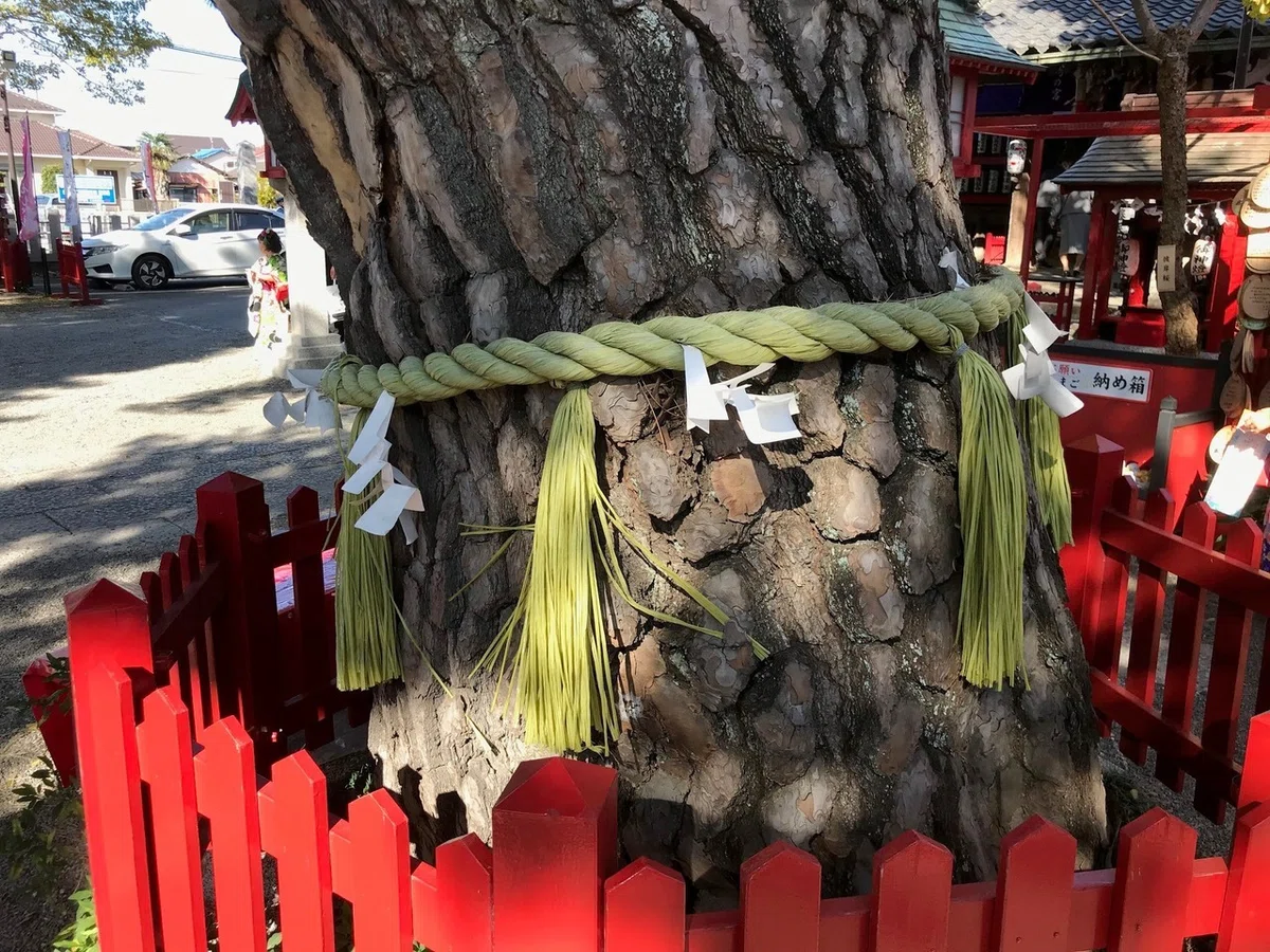 画像29