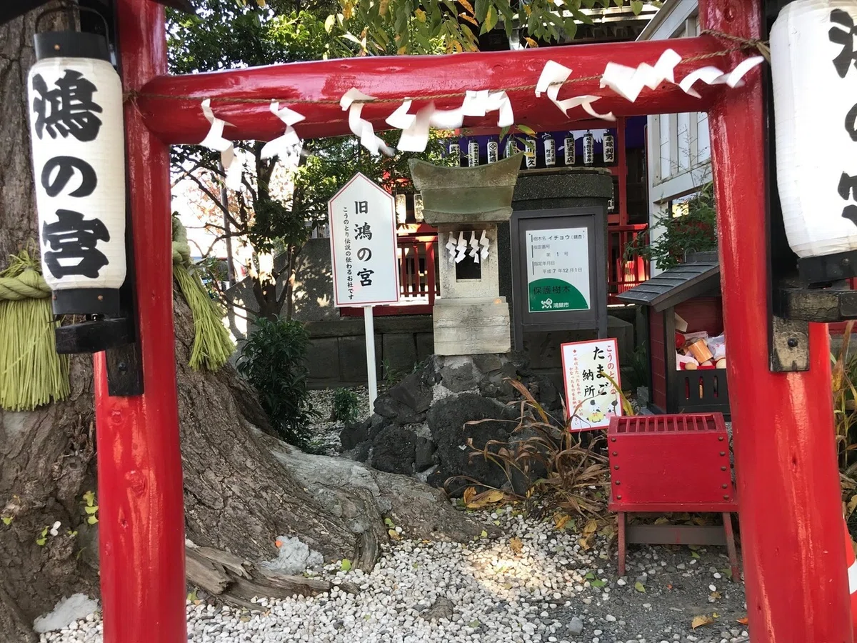 画像31