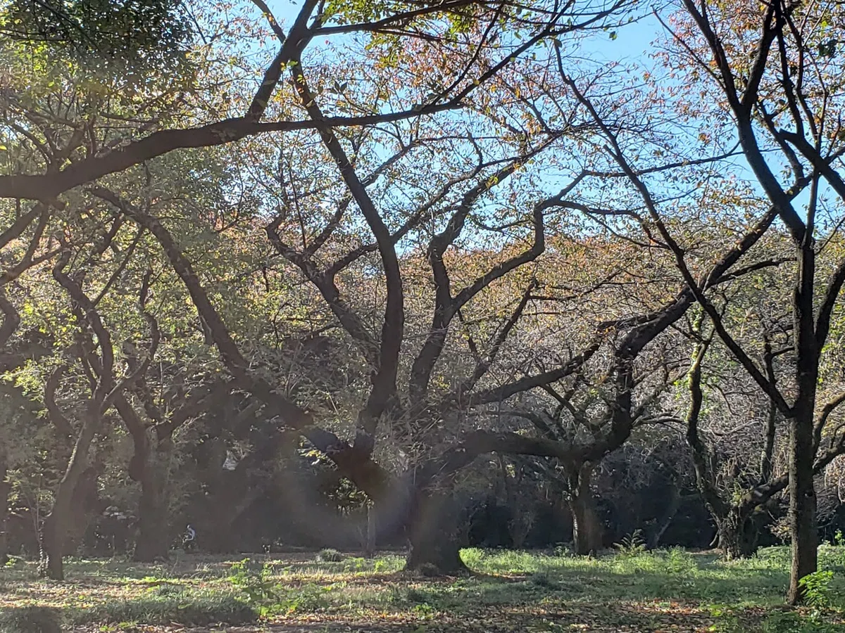 画像11