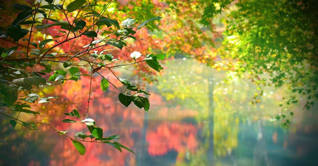 大和大学英語対策 21年度一般入試で合格する方法 塾講師が徹底解説 のりおの勉強日記 Note