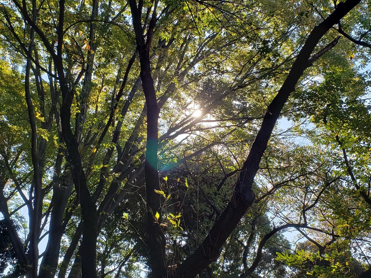 画像18