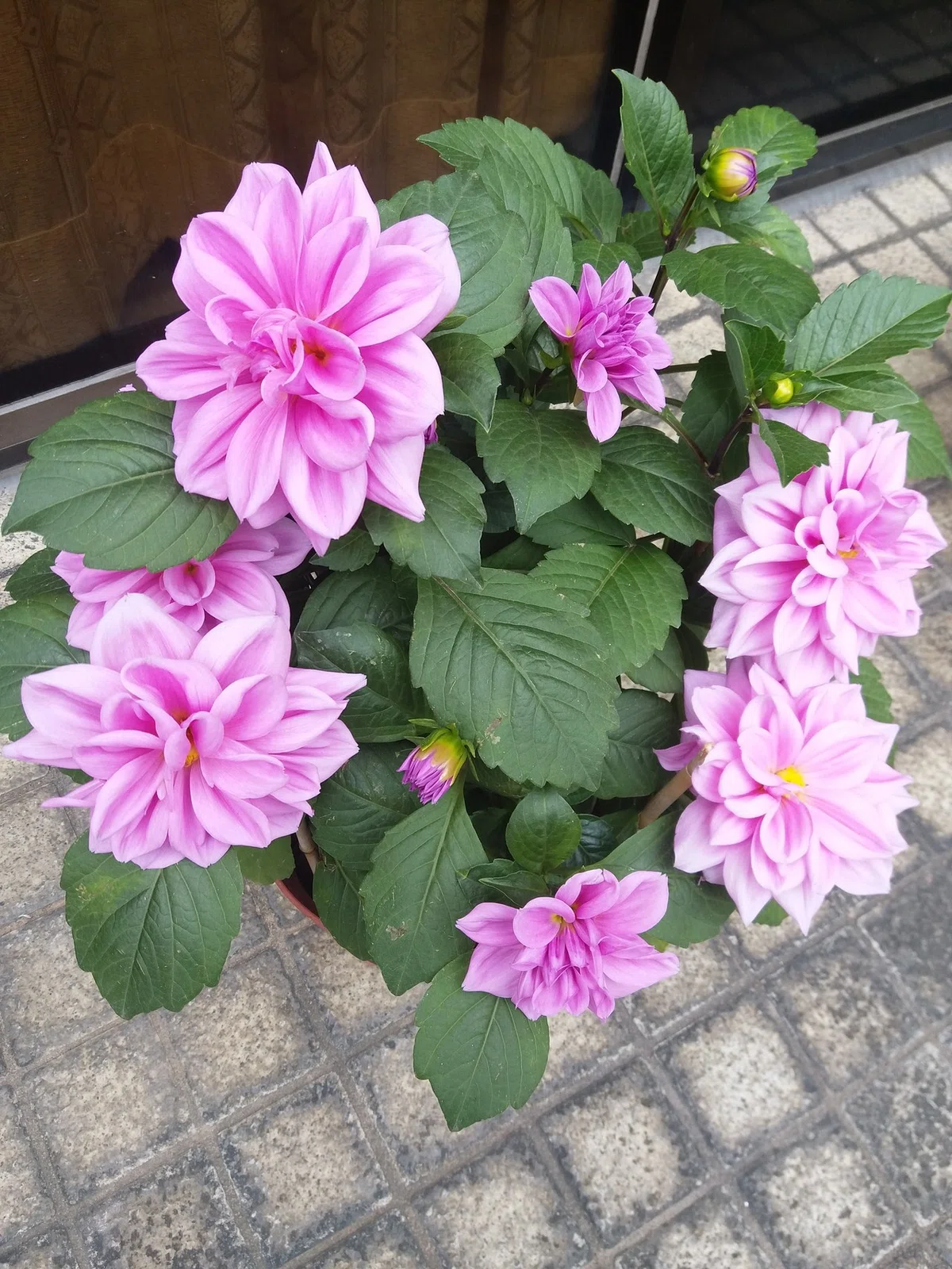 画像2