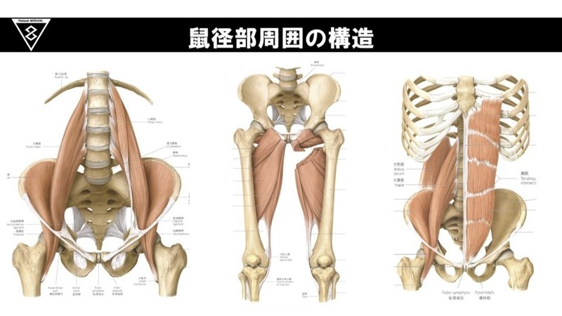 サッカー選手のGroin pain競技復帰に向けてのメディカルリハビリテーション.004