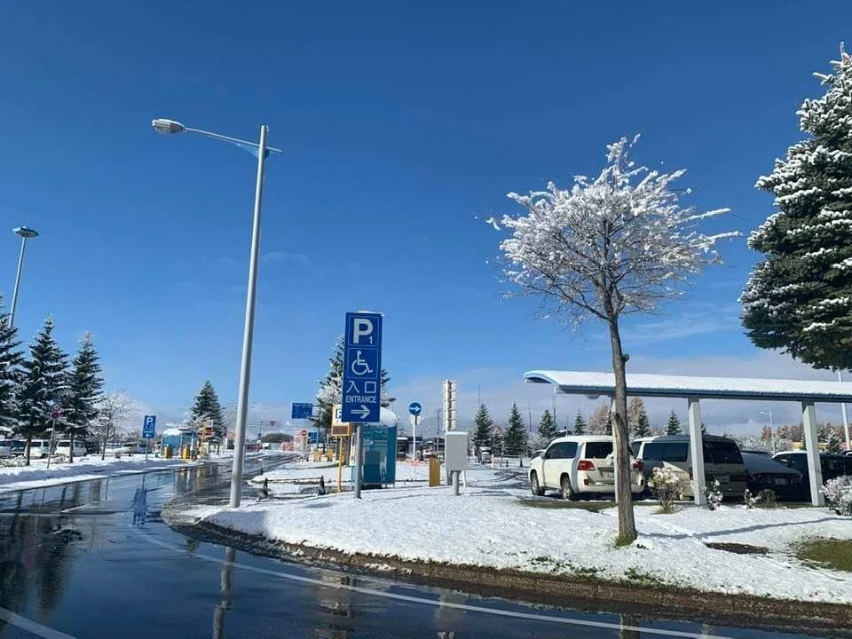 画像4