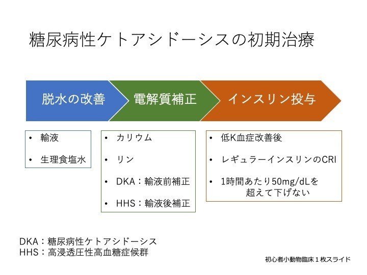 犬猫の糖尿病性ケトアシドーシスの初期治療 ぶっくま Note