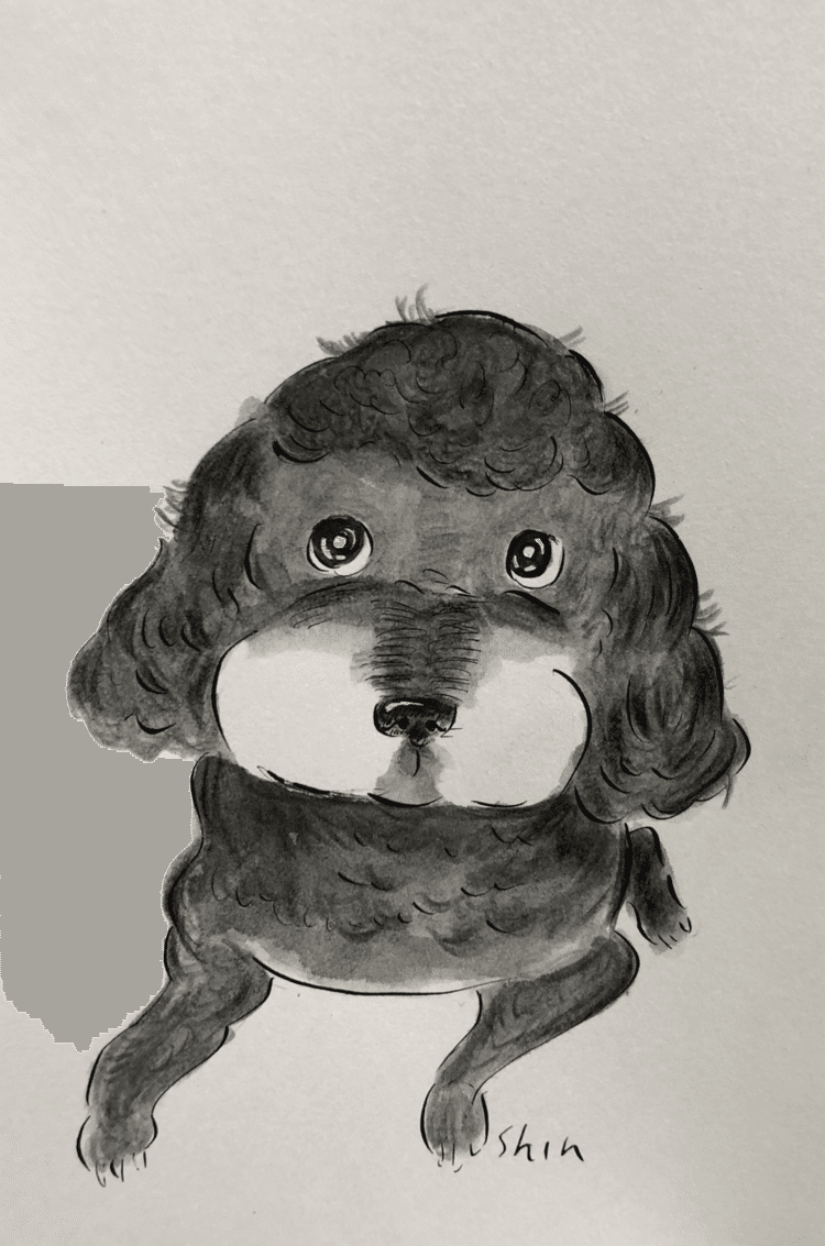ちょいとデフォルメして描いた愛犬。丸っこい餅みたいになった。結構気に入った^_^           #愛犬　#犬　#イラスト　#絵　スケッチ　#日記