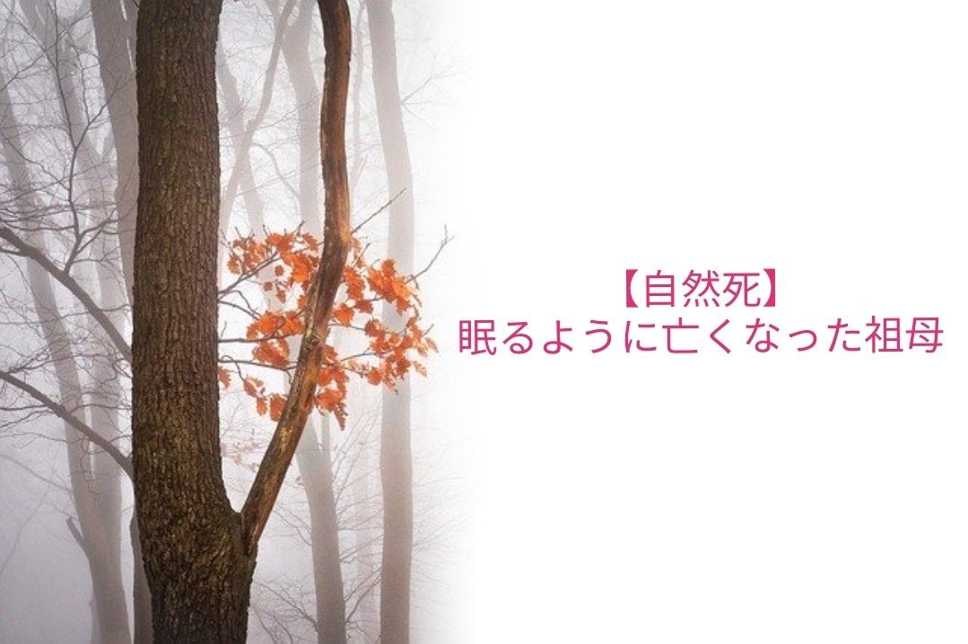 ターミナルケア 自然死 眠るように亡くなった祖母 あさ 作業療法士 Note