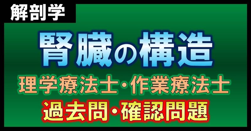 【解剖学】腎臓・確認問題（理学療法士・作業療法士）