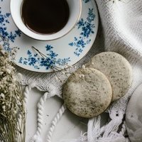 弥生志郎の私が読んだ3作品 明日 今日の君に逢えなくても 他 Juneberry Note 弥生志郎の私が読んだ3作品 明日 今日の君に逢えなくても 他 Juneberry Note