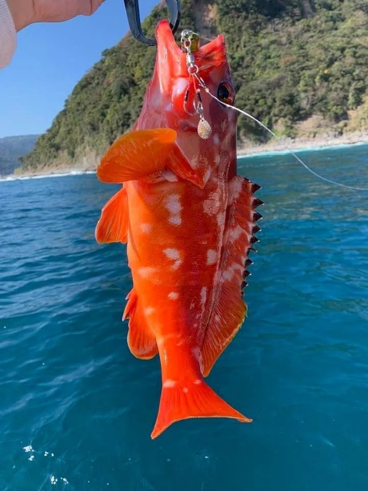 画像13