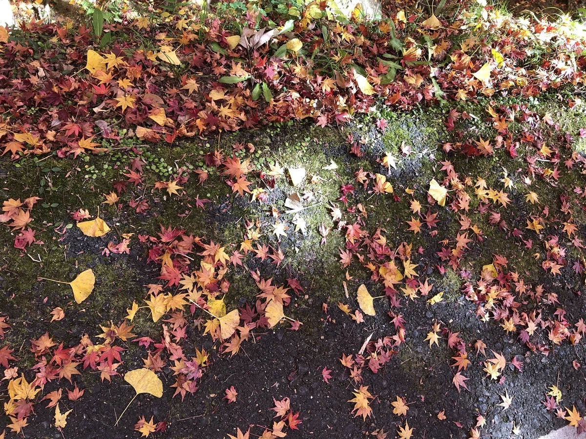画像6