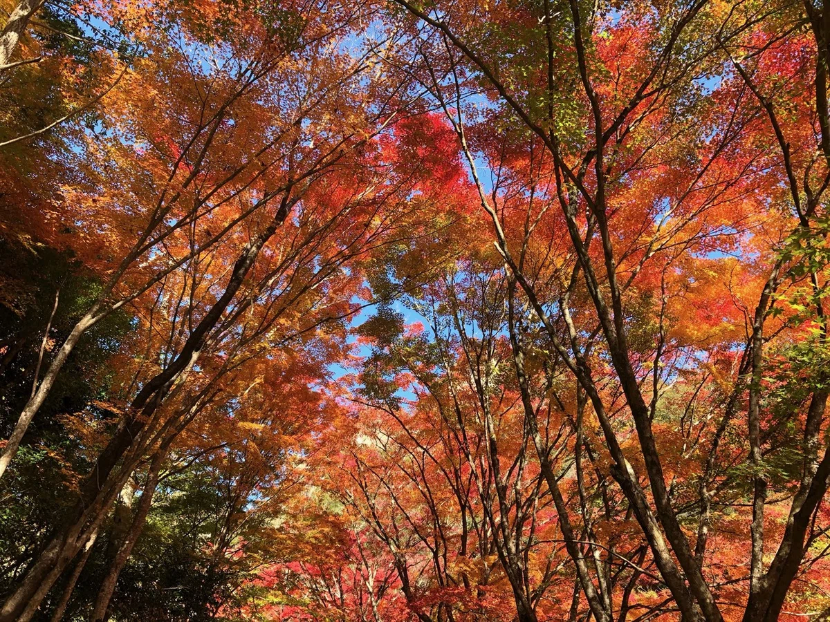 画像9