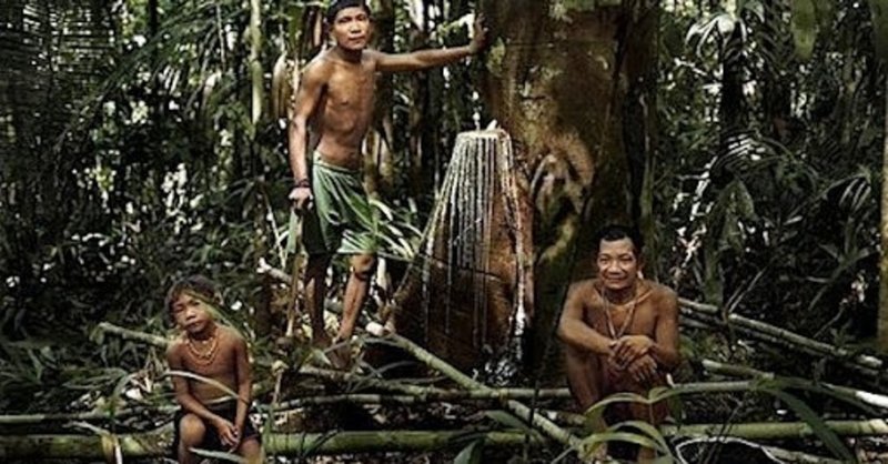 謎の言語を操るアマゾンの民族『ピダハン』とは何者じゃい？