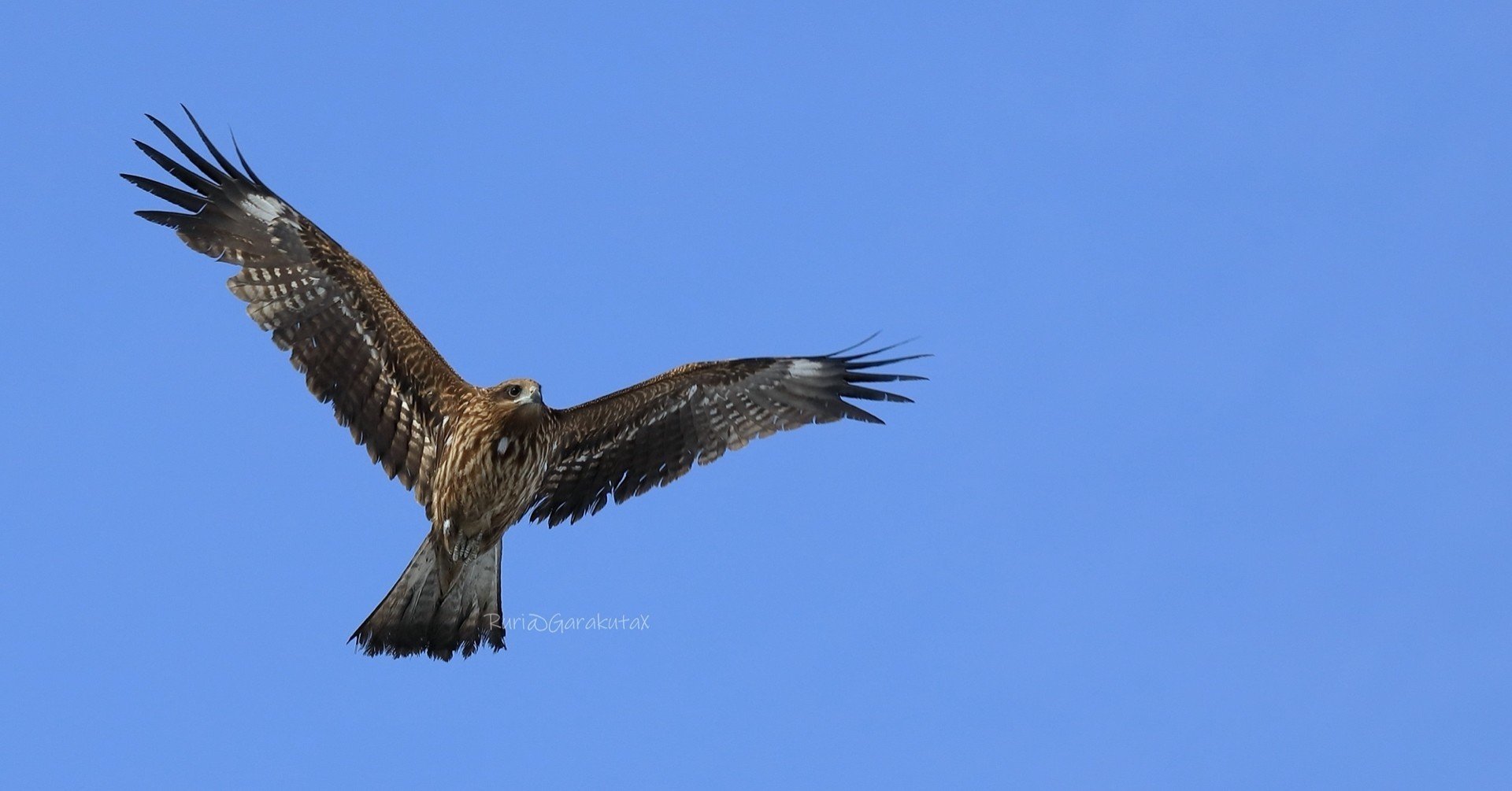21年度大和大学公募入試理工系数学解答速報 のりおの勉強日記 Note 21年度大和大学公募入試理工系数学解答速報 のりおの勉強日記 Note