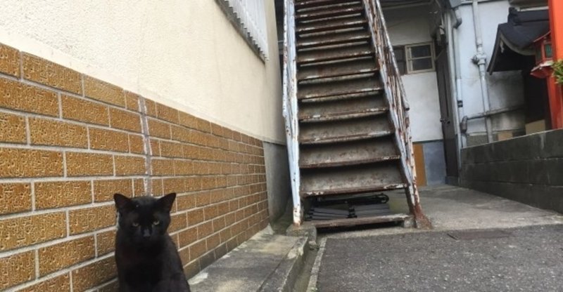 短歌連作 庭のない家 榎本ユミ エノモトユミ Note