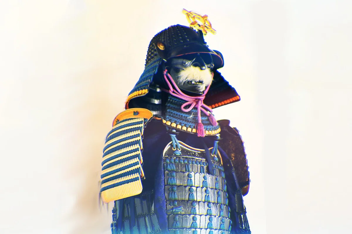 画像3