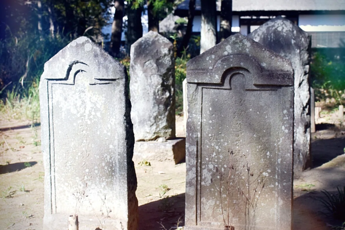 画像7