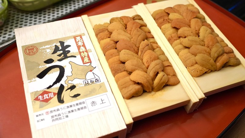 昆布森産のウニが入りました 73歳すし屋のnote 73歳すし屋のnote 現役 Note