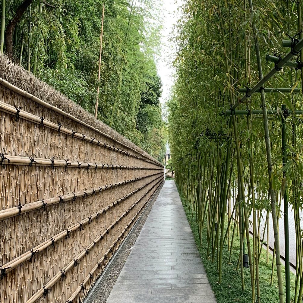 京都観光に絶対に車で来てはいけない理由 うしをい 京都在住 Note