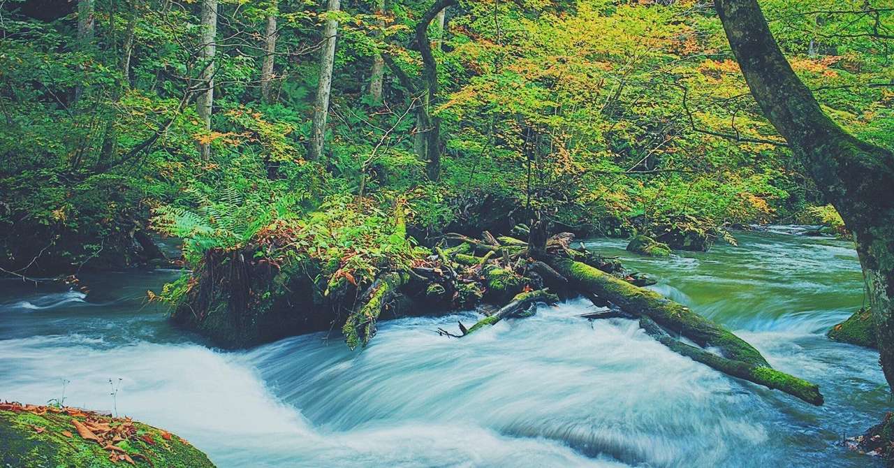 21年度同志社女子大学公募制入試英語 午後 過去問解説 のりおの勉強日記 Note