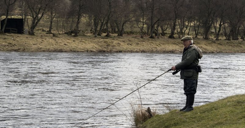 釣りって楽しいよね イチ押しの釣り系youtuberチャンネルランキング しぇあたそ Note