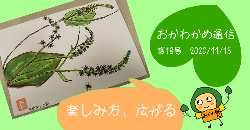 おかわかめで絵手紙を描く女性の話 門間ゆきの わかおかみおかわかめ Note