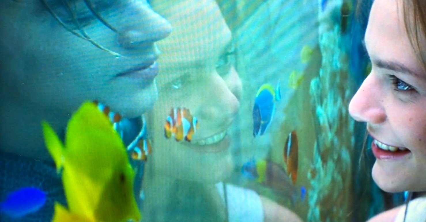 ロミオ ジュリエット と映画の中の水 東京大学映画研究会 Note