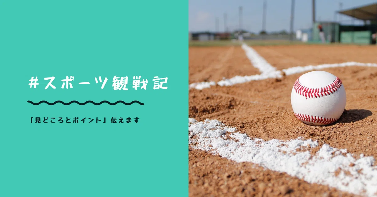スポーツ観戦記3