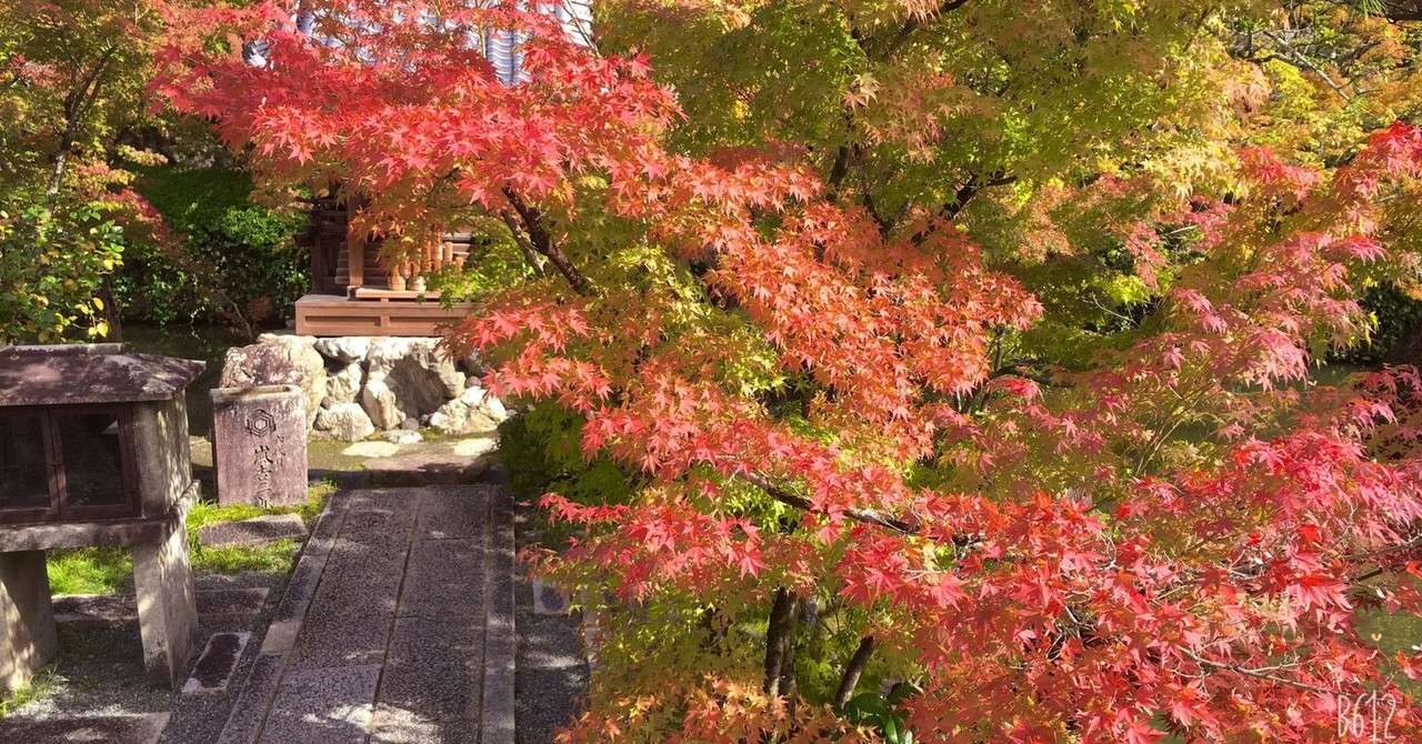 縁切り 画像 縁切り 神社 画像 Rubyeritcheyjp