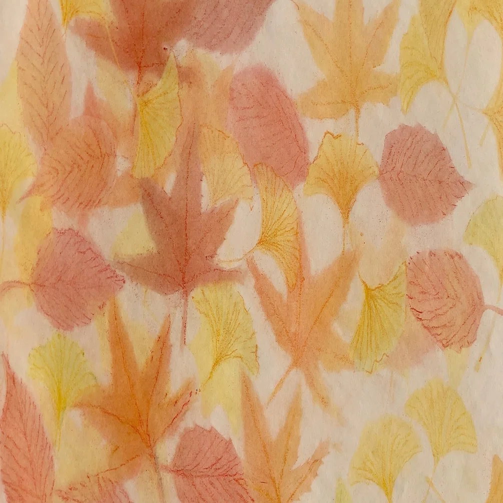 草もみじ(えのころぐさ) パステル画 秋を知らせる足元の彩り＜草紅葉