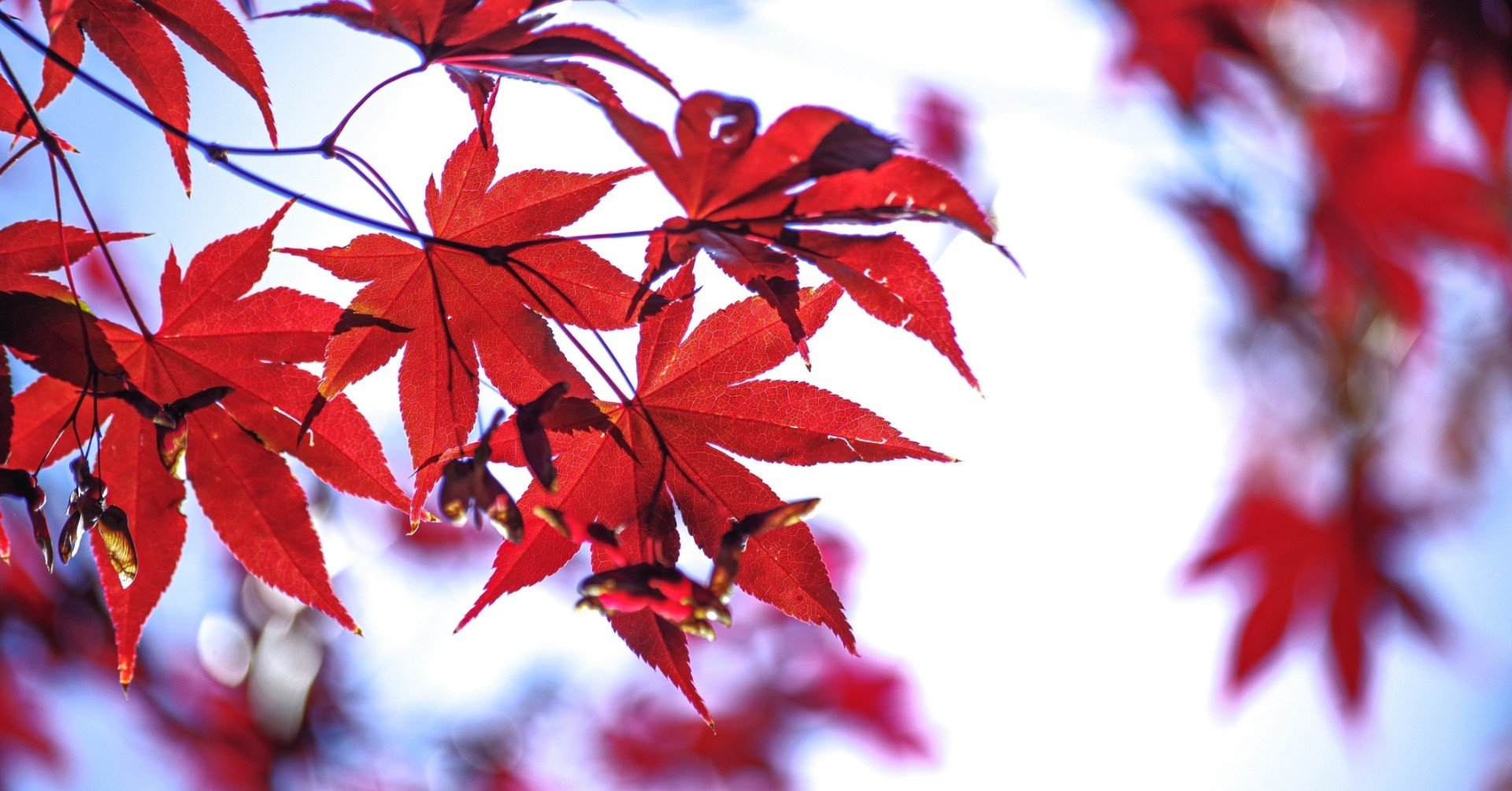 クラスが上がれば 見える世界も変わるはず 四谷大塚 公開組分けテスト4年 第7回 ポーシャ Note