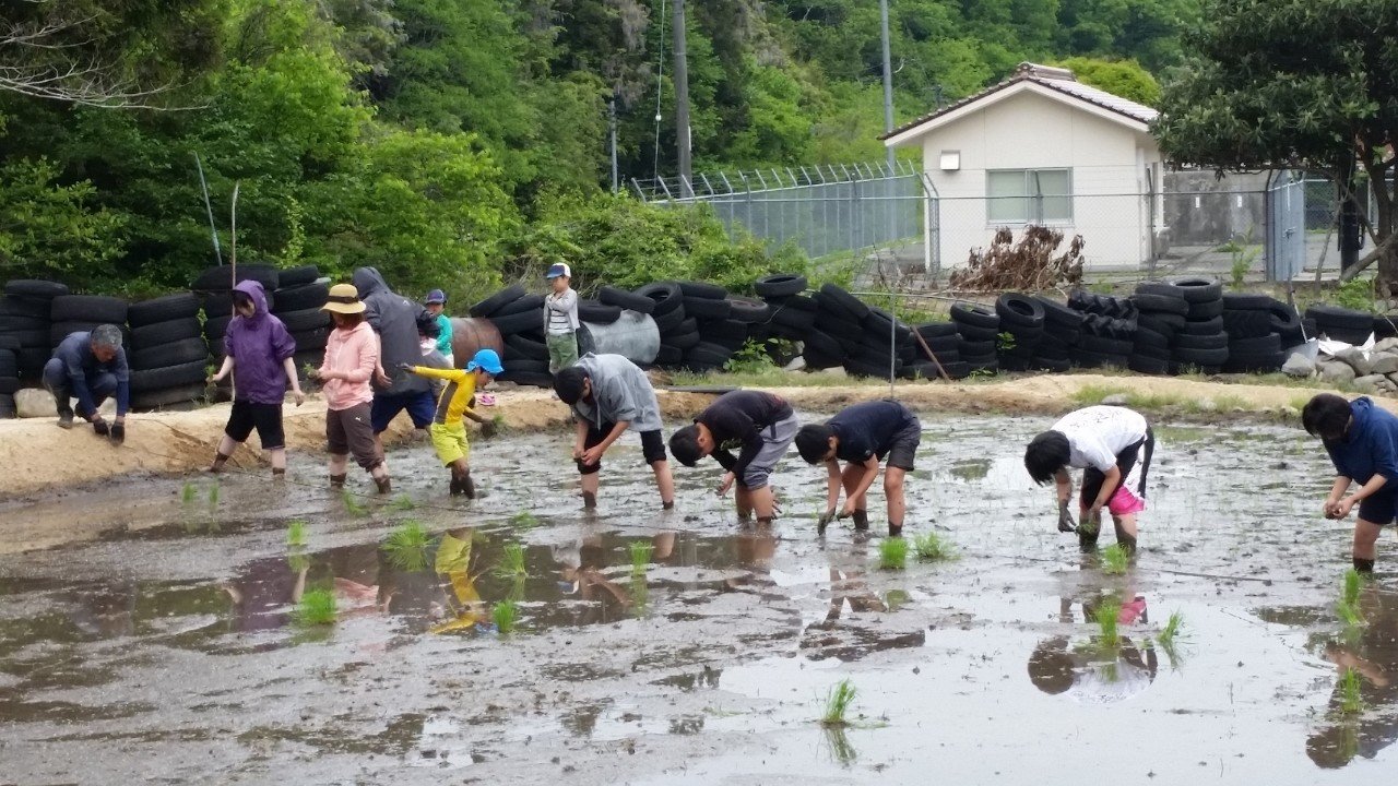 1泊50万円のキャンプ場を作ってます 世界一の迷探偵 塚川 友貴 Note