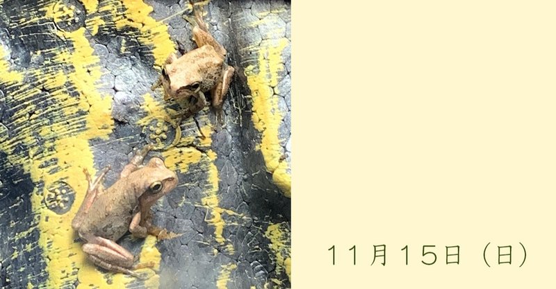 ニホンアマガエル の新着タグ記事一覧 Note つくる つながる とどける ニホンアマガエル の新着タグ記事一覧 Note つくる つながる とどける