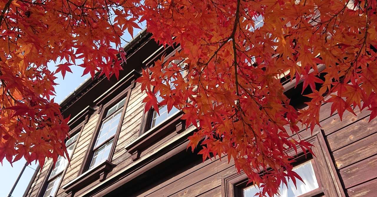 21年度同志社女子大学公募制入試英語 午前 過去問解説 のりおの勉強日記 Note