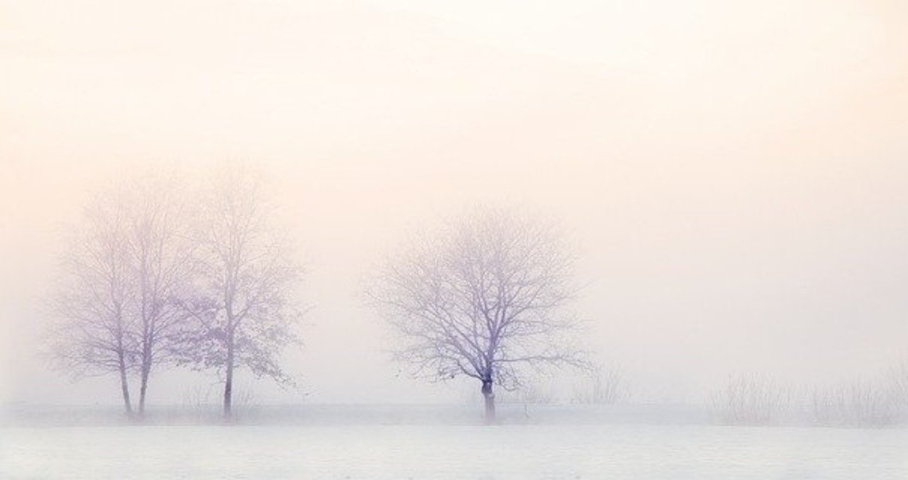 アニメ ゴールデンカムイ ３１話感想 風と夜 Note