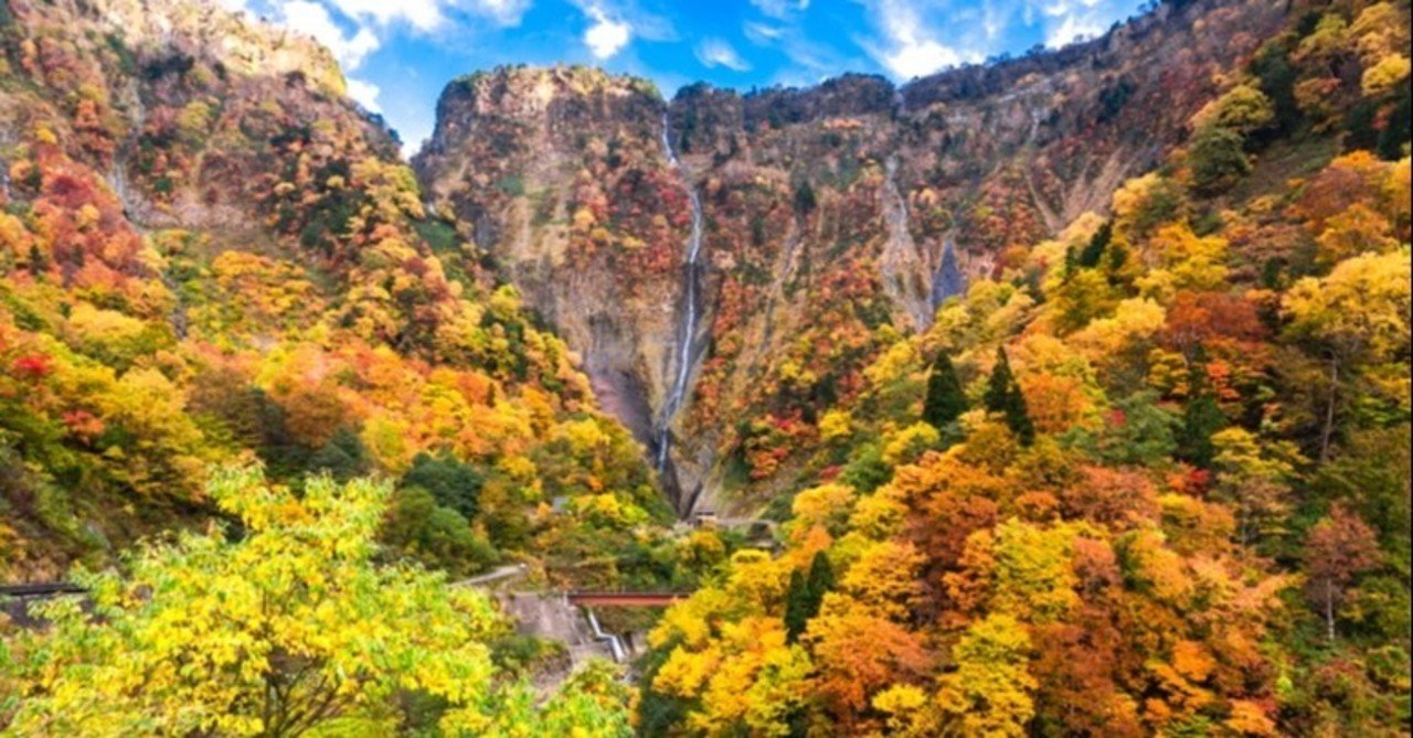 古布の紅葉のヒイラギナンテンのアップリケ 大きなサイズ